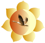 Damaru logo